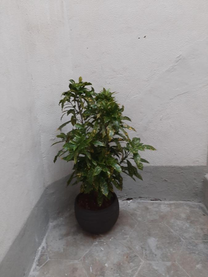 Al Crocifisso...Da Nonna Pia Apartman Salerno Kültér fotó